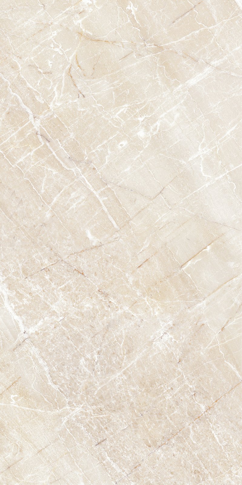 PLATINUM 25X50 CARMEN BROWN